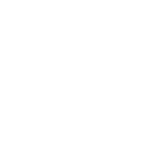 Logo of safety